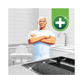 Meister Proper Sprühen-Wischen-Fertig Spray Antibakteriell