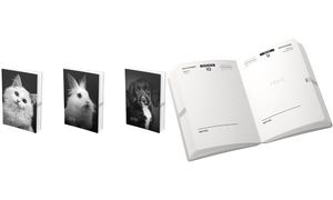 OXFORD Agenda scolaire PRINT ANIMAUX, 2026/2027, assorti