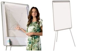 Bi-Office Flipchart "Earth", (B)700 x (H)1.000 mm, grau