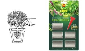 COMPO Grünpflanzen- und Palmen Düngestäbchen mit Guano