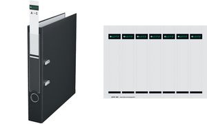 LEITZ Ordnerrücken-Einsteckschild, 31 x 190 mm, Karton, grau