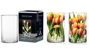 Ritzenhoff & Breker Blumenvase AMALIA, transparent