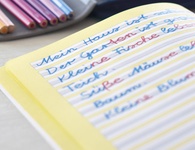 FABER-CASTELL Silbentrennstift Jumbo GRIP bicolor